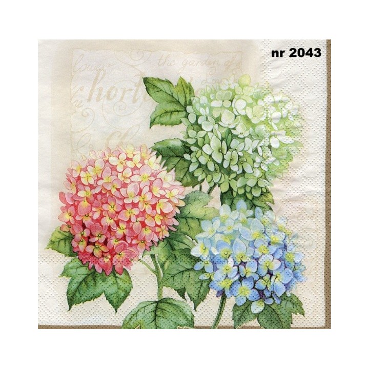 Hydrangea servet 33x33cm