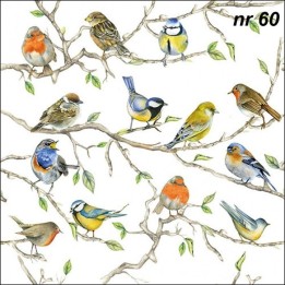 Birds meeting servet 33x33cm