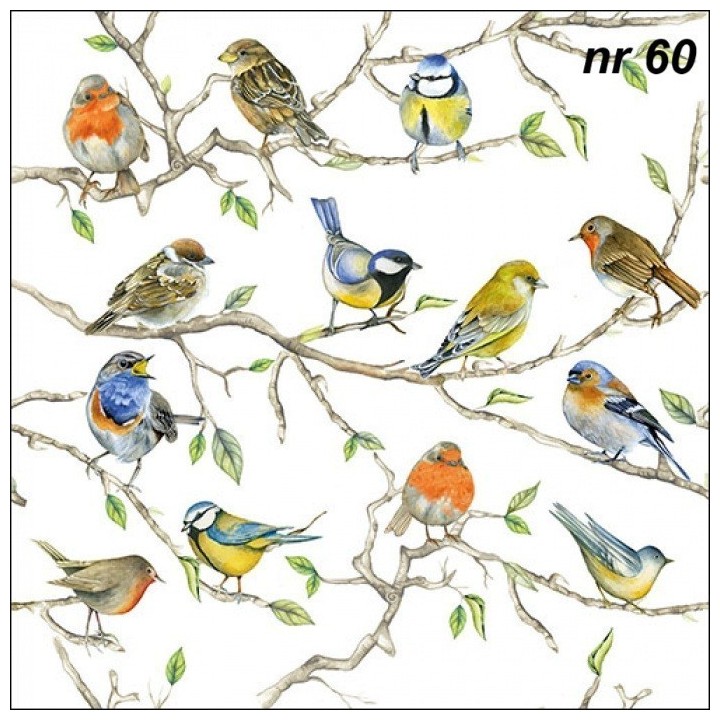 Birds meeting servet 33x33cm