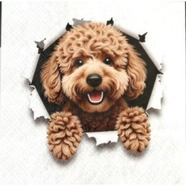 Kiekeboe hond servet 33x33cm