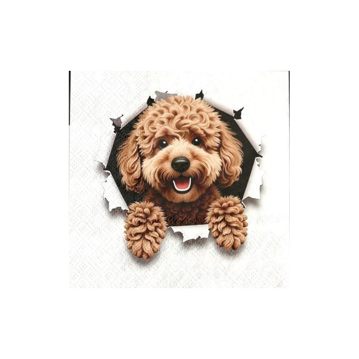 Kiekeboe hond servet 33x33cm