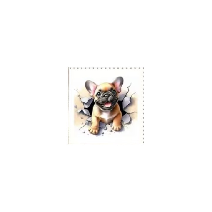 Franse Bulldog kiekeboe servet 33x33cm