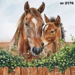 Fattrice and Puledro servet 33x33cm