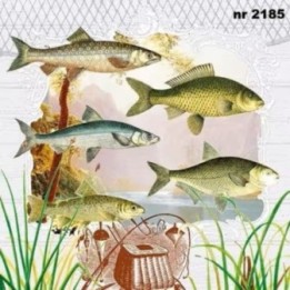Fish Portrait servet 33x33cm