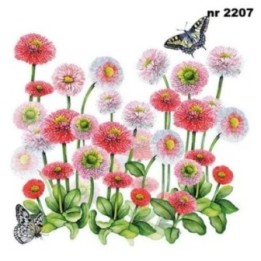 Bellis servet 33x33cm