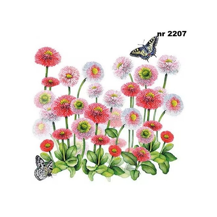 Bellis servet 33x33cm