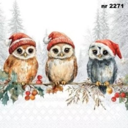 Wise Owls servet 33x33cm