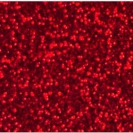 NC Glitter embossing powder 7.39ml supersparkle red