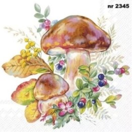 Mushroom Season white servet 33x33cm