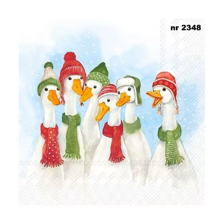 Edgar & Friends servet 33x33cm