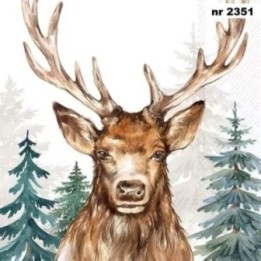 The Woodland King servet 33x33cm
