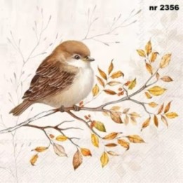 Autumn Melody cream servet 33x33cm