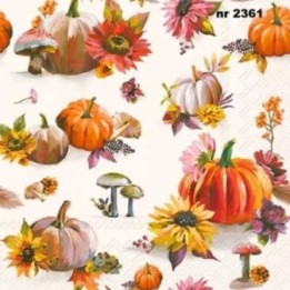 Soft Pumpkin Cream servet 33x33cm