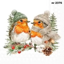 Warmly Dressed Robins servet 33x33cm