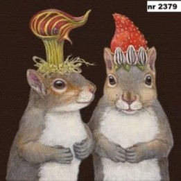 Sam & Kris servet 33x33cm