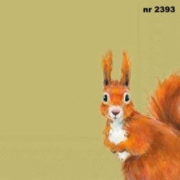 Squirrel Hazel green servet 33x33cm