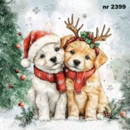 Cody and Buddy servet 33x33cm
