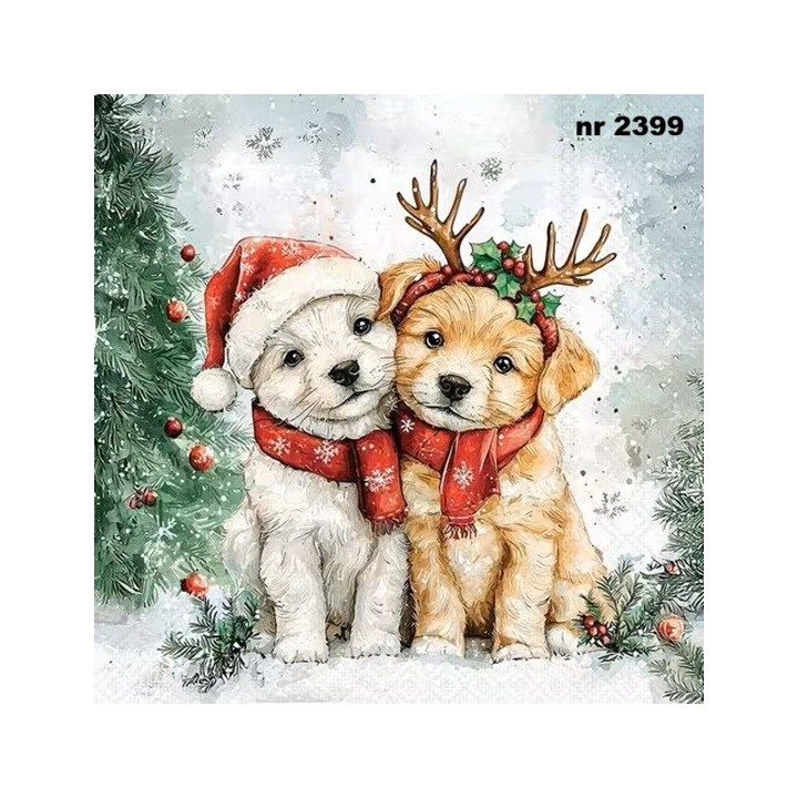 Cody and Buddy servet 33x33cm