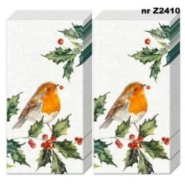 Lexi and Robin zakdoek 22x22cm