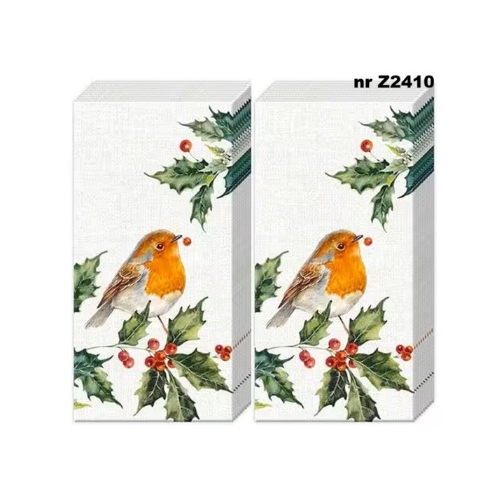 Lexi and Robin zakdoek 22x22cm