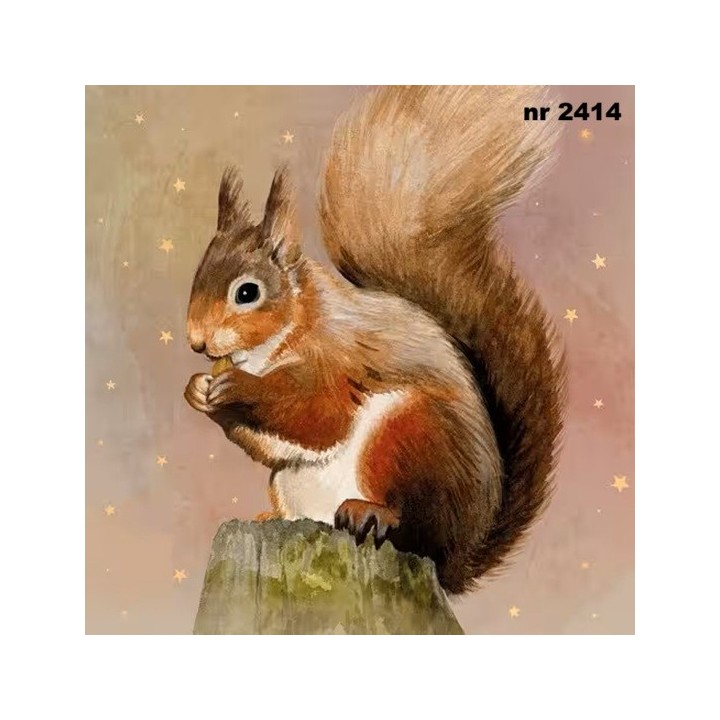 Judy servet 33x33cm