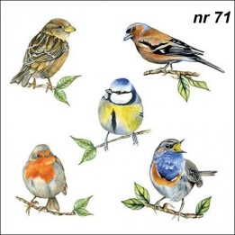 Bird species white servet 33x33cm