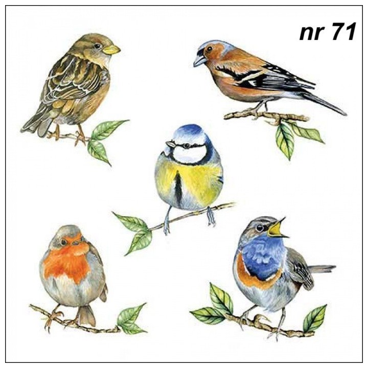 Bird species white servet 33x33cm