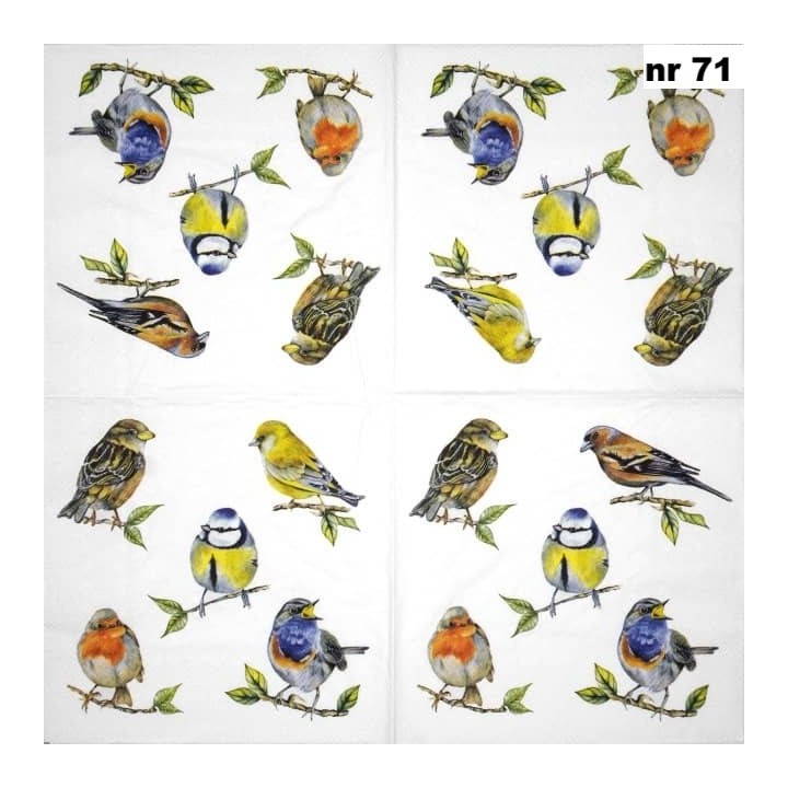 Bird species white servet 33x33cm
