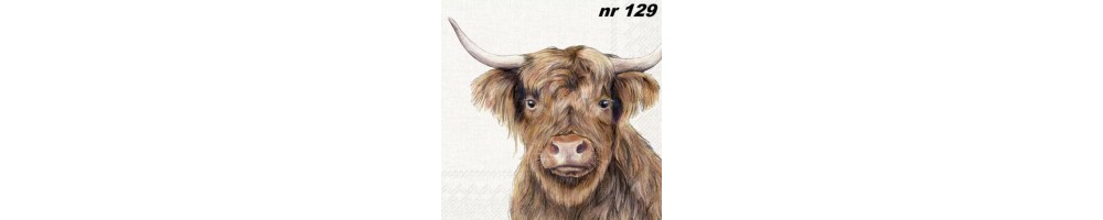 Dieren